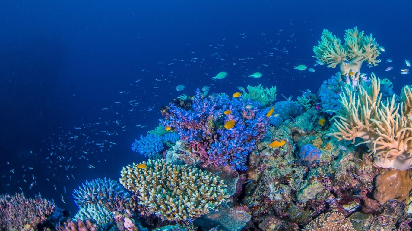 Great Barrier Reef