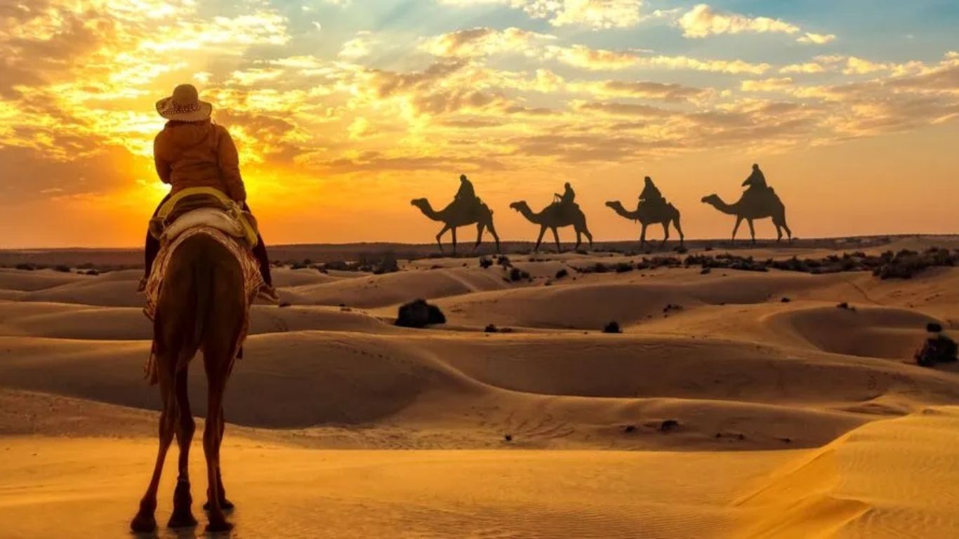 Qatar Desert Safari